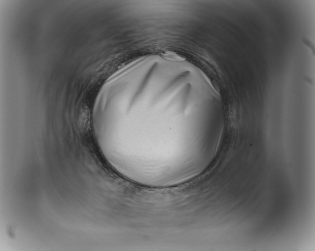 X0000100490029200806271247