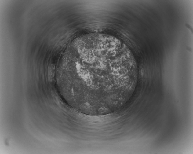 X0000100490030200806271247