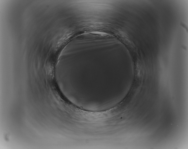 X0000100490031200806271247