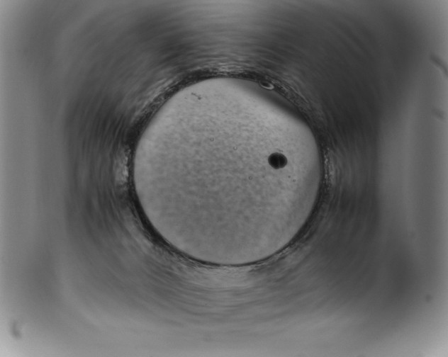 X0000100490032200806271247