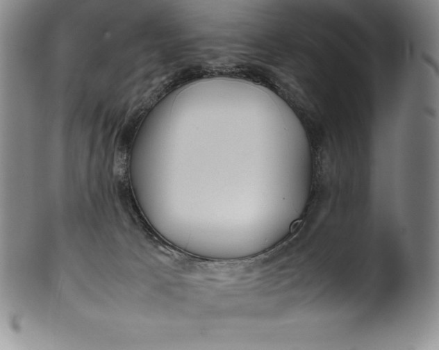 X0000100490033200806271247