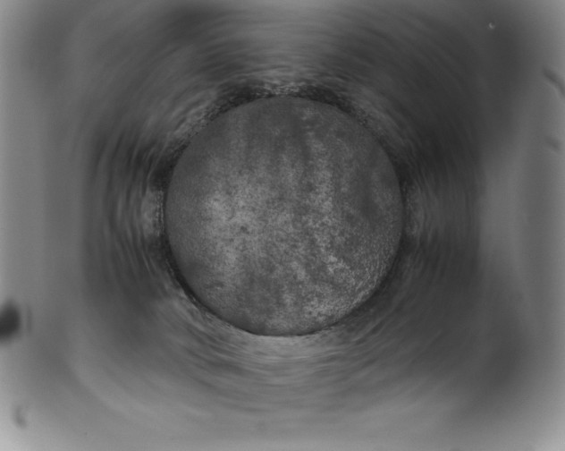 X0000100490034200806271247