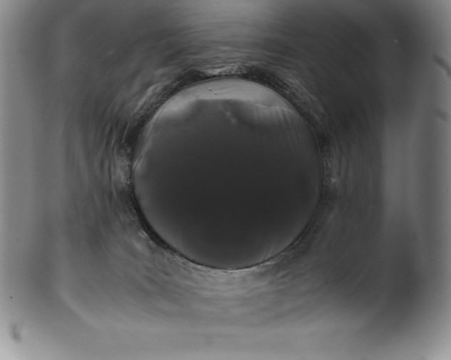 X0000100490035200806271247