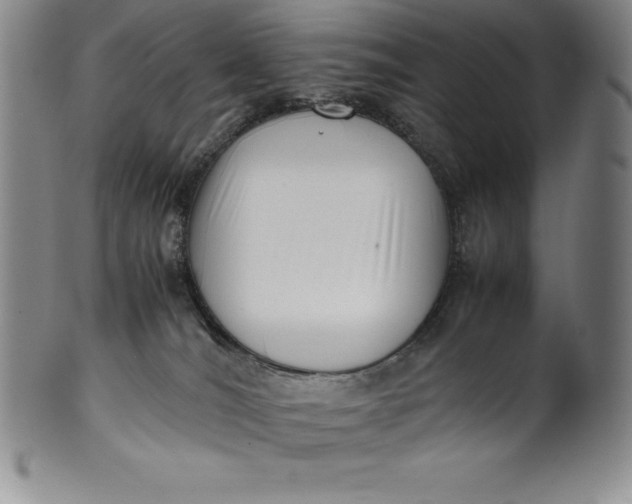 X0000100490036200806271247