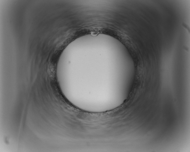 X0000100490037200806271247