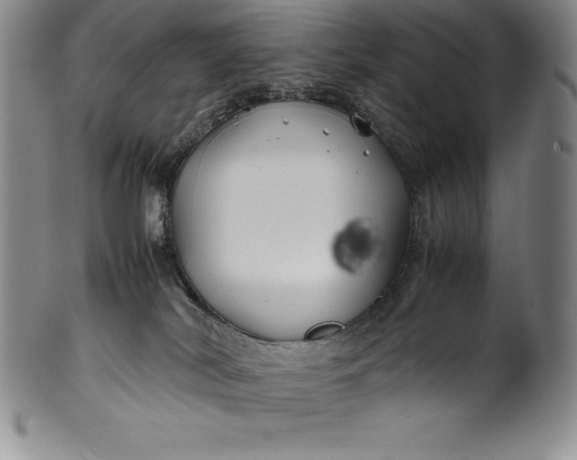 X0000100490038200806271247