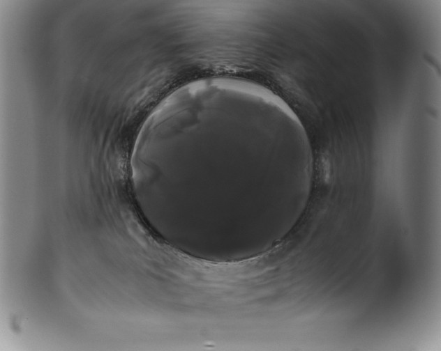 X0000100490039200806271247