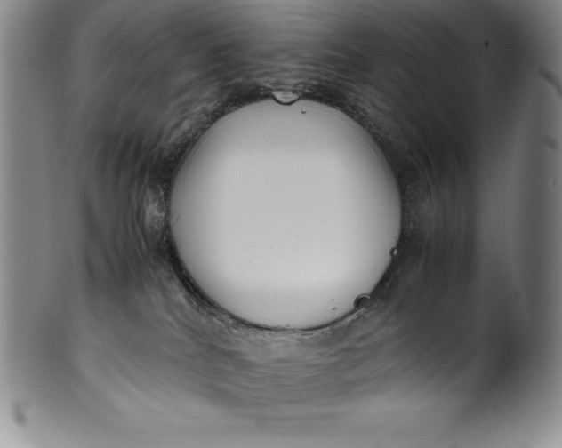 X0000100490040200806271247