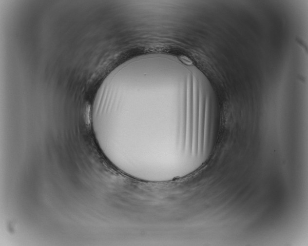 X0000100490041200806271247