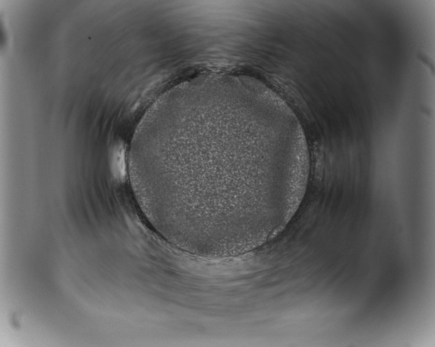 X0000100490042200806271247