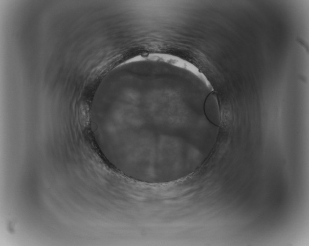 X0000100490043200806271247