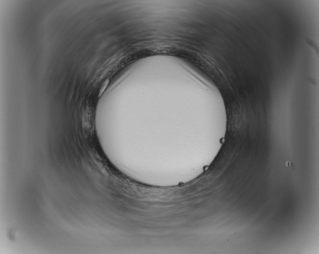 X0000100490044200806271247