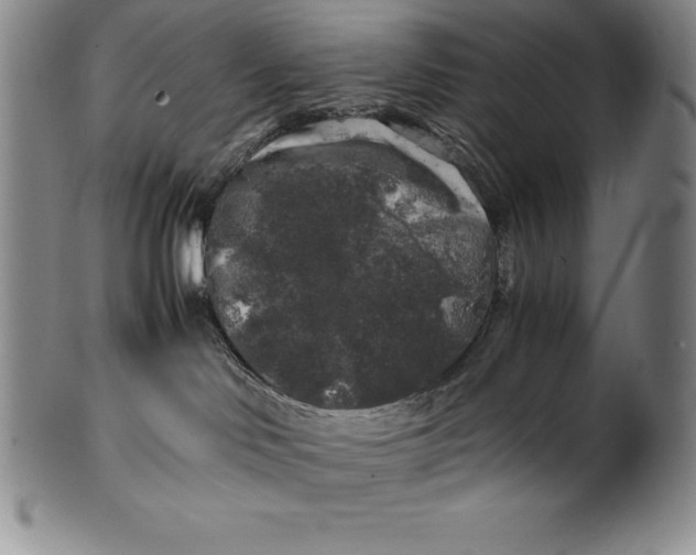 X0000100490046200806271247