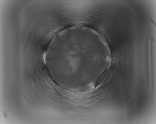 X0000100490047200806271247