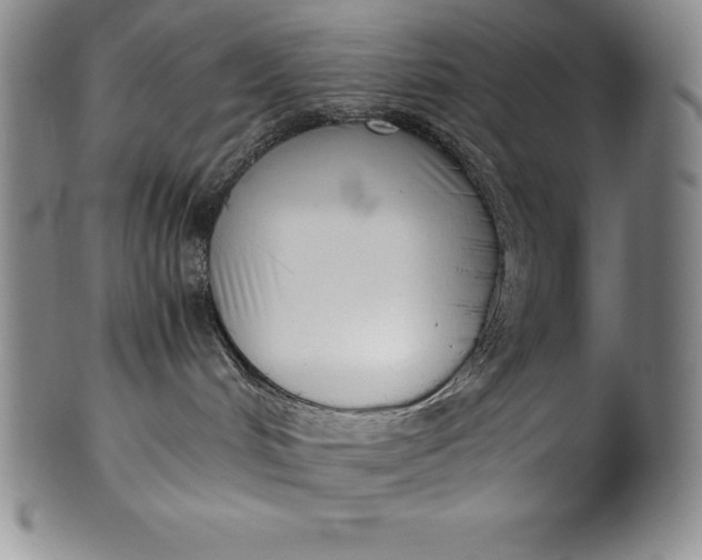 X0000100490048200806271246