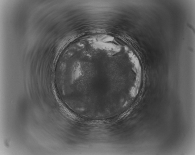 X0000100490049200806271246