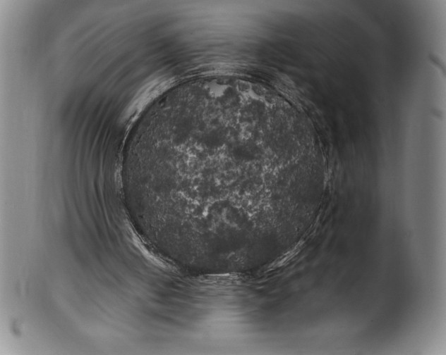 X0000100490050200806271246