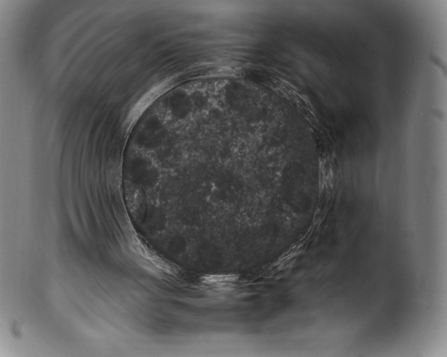 X0000100490051200806271246