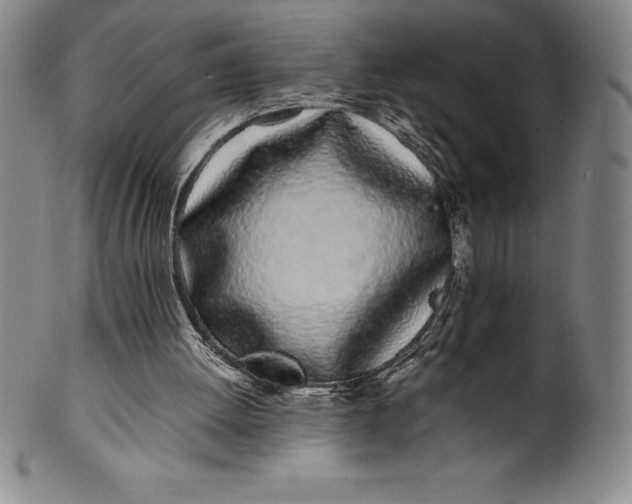 X0000100490052200806271246