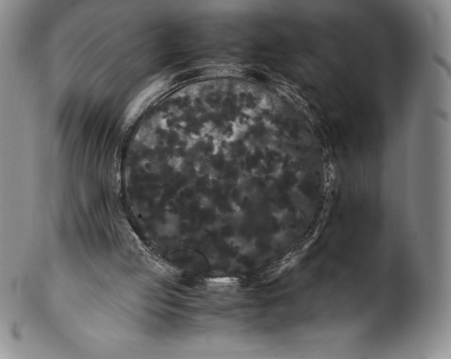 X0000100490053200806271246