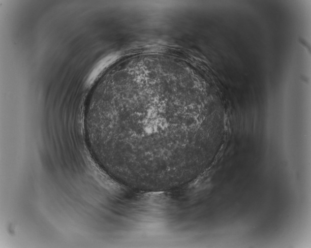 X0000100490054200806271246