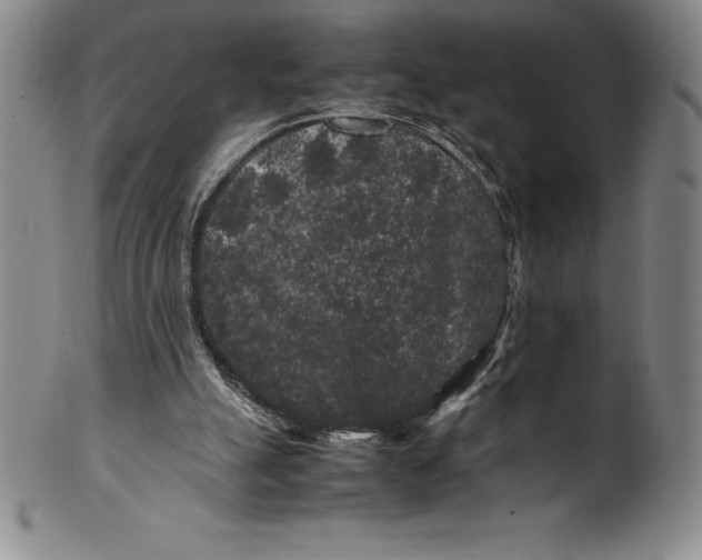 X0000100490055200806271246