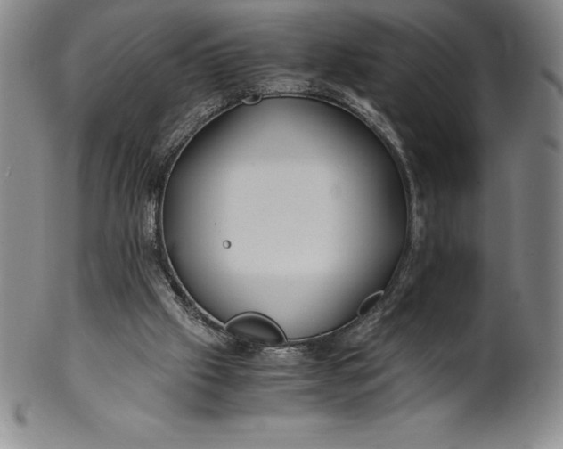 X0000100490057200806271246