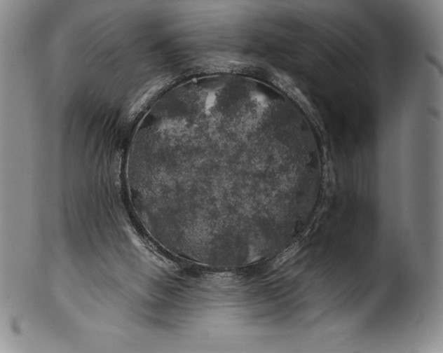 X0000100490058200806271246