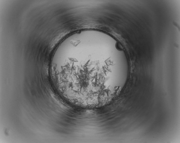 X0000100490060200806271246