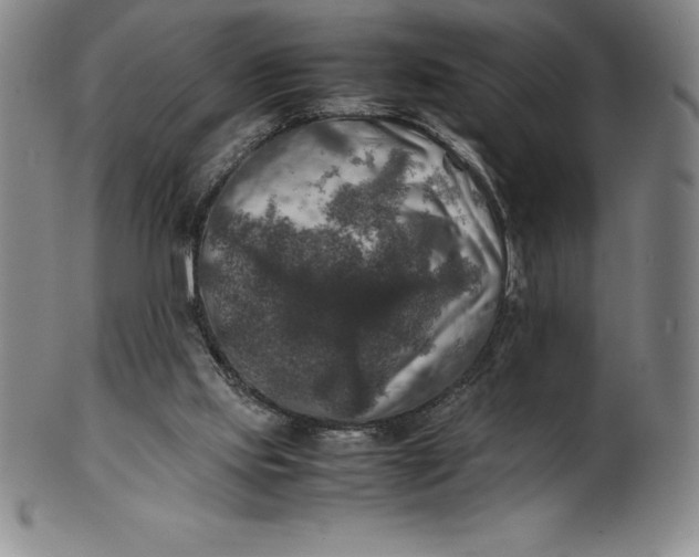 X0000100490061200806271246