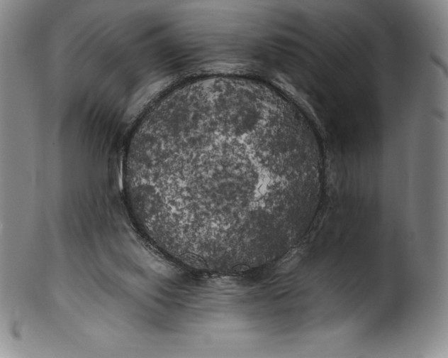 X0000100490062200806271246