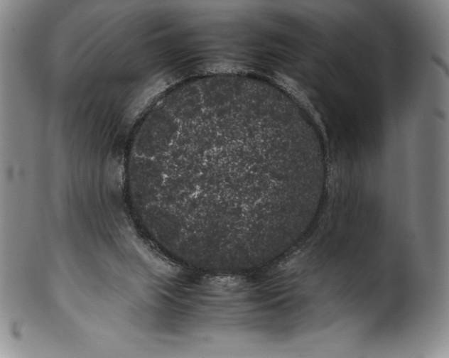 X0000100490063200806271246