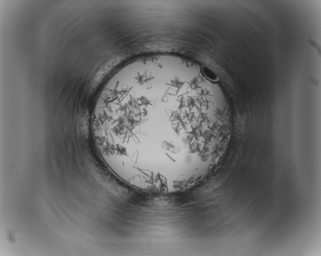 X0000100490064200806271246