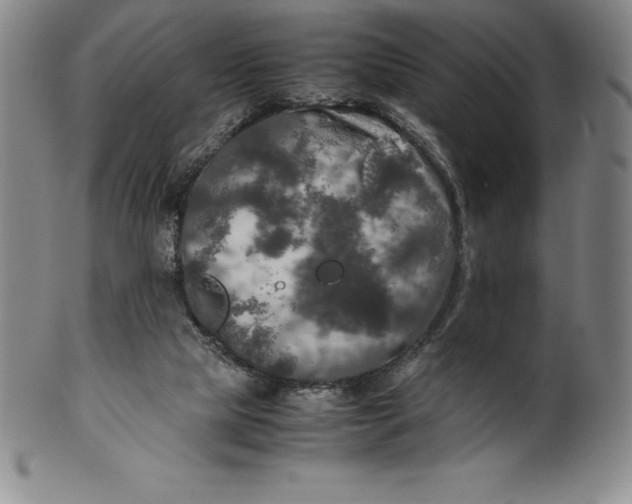 X0000100490065200806271246