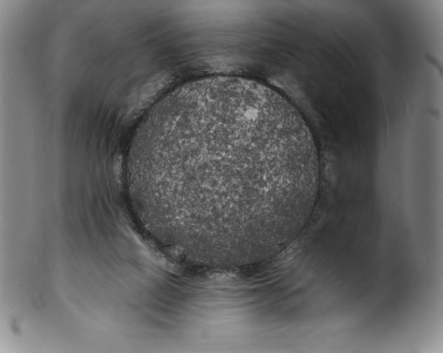 X0000100490066200806271246