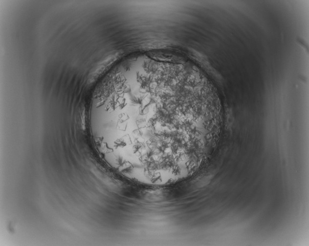 X0000100490068200806271246