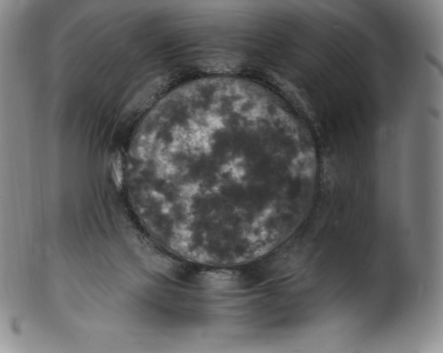 X0000100490069200806271246