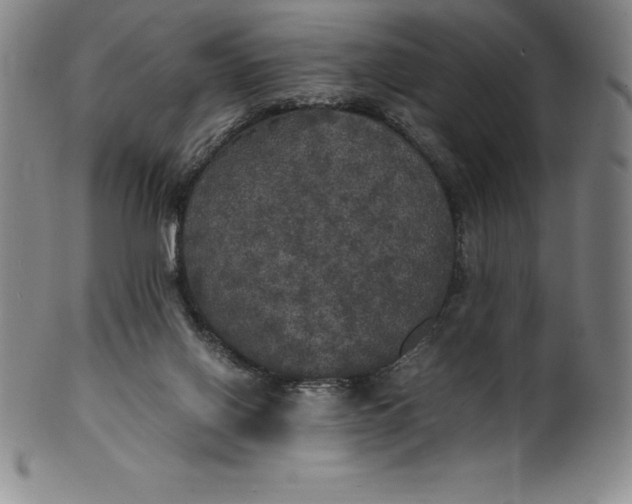 X0000100490070200806271246