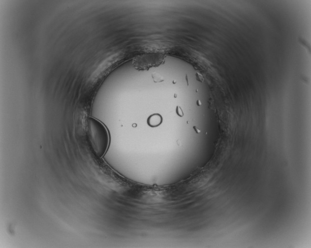 X0000100490071200806271246