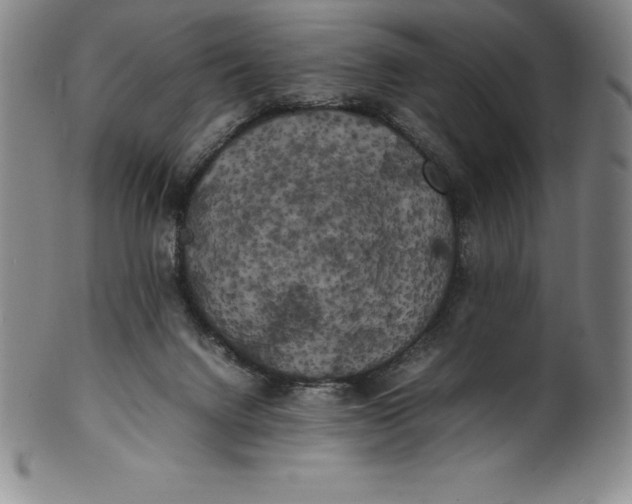 X0000100490072200806271246