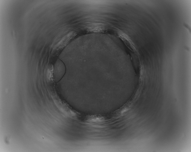 X0000100490073200806271246