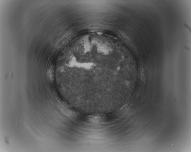 X0000100490074200806271246