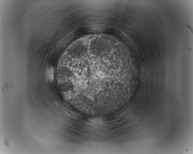 X0000100490075200806271246