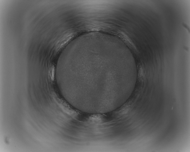 X0000100490076200806271246