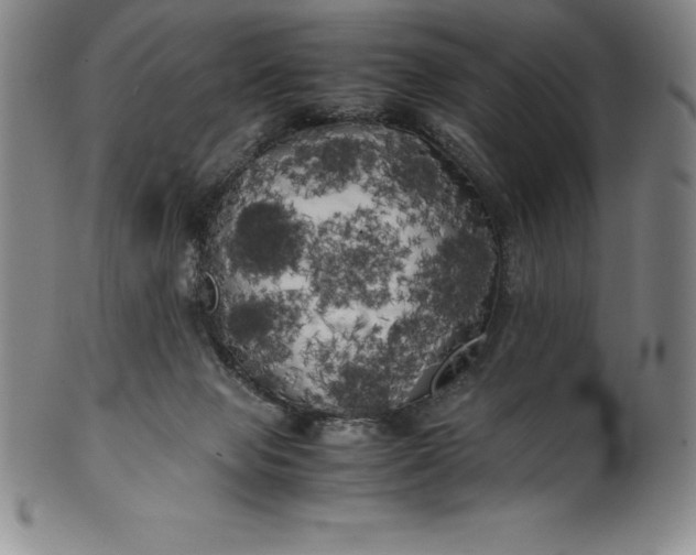 X0000100490077200806271246