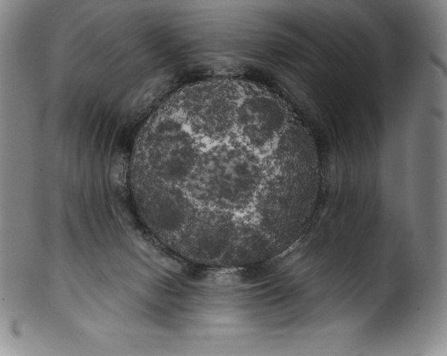 X0000100490078200806271246