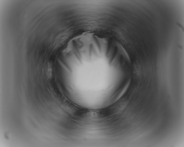 X0000100490080200806271246