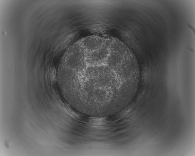 X0000100490081200806271246