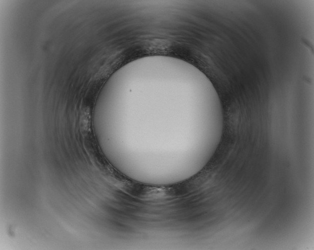 X0000100490083200806271246