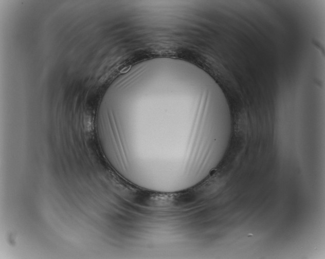 X0000100490084200806271246